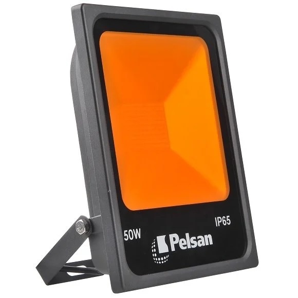 PROJEKTOR PELSAN FRANKO 50VT LED 108166