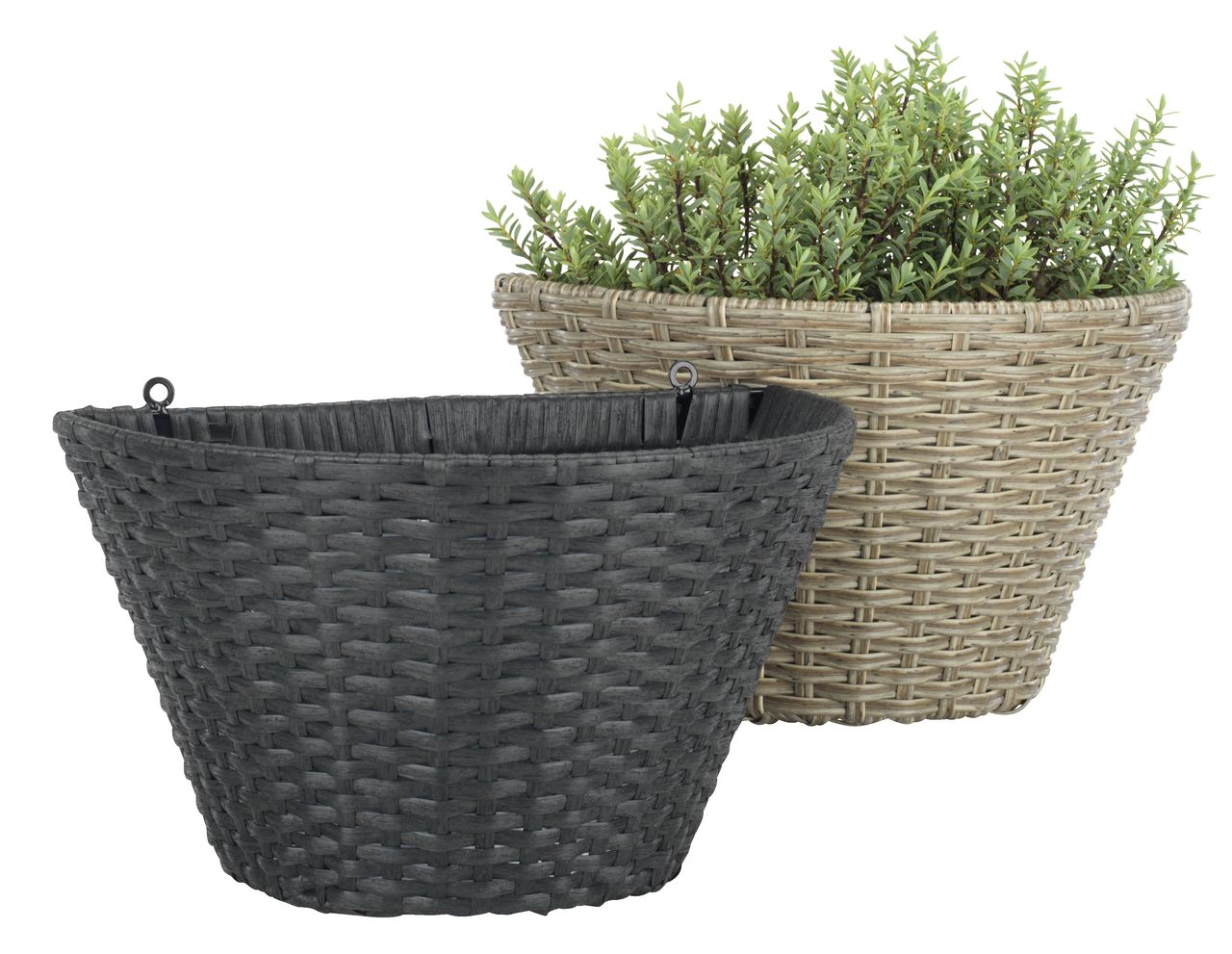 DİBÇƏK 6400601 REDDİK