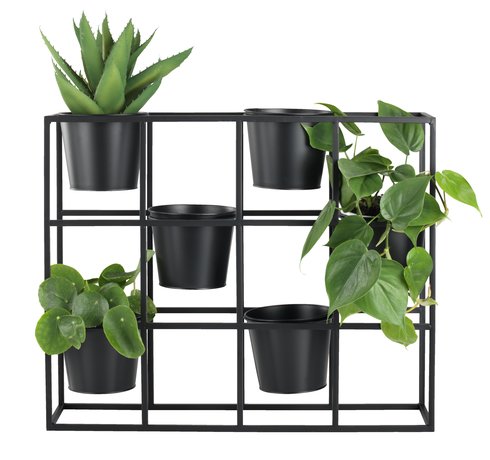 DİBÇƏK RƏFİ 6436800 HAVE